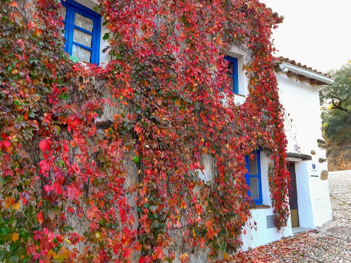 Casita Collado 1 Villa Alájar Екстериор снимка
